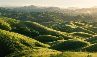 Landscape with mist over the green hills photo