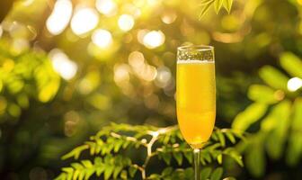 A close-up shot of a orange juce glass, bokeh lights photo