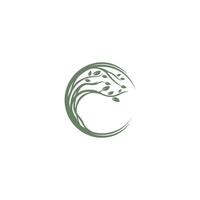 logo abstract circular leaf twig vector
