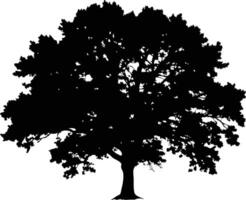Single big Oak tree with leaves silhouette nature environment concept isolated on white background vector