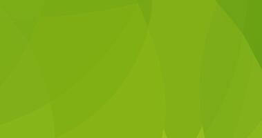 abstract green curve background for cover banner template vector