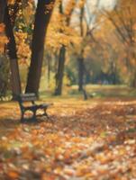 a park bench is sitting in the middle of a fall leaf covered park photo