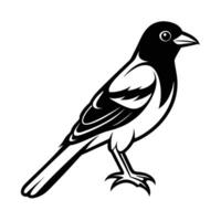 Baseball Team Logos Coloring Pages For Coloring Book vector