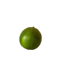 a lime single png