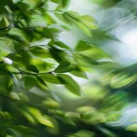 a blurry image of a tree with leaves photo