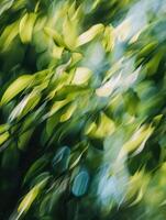 a blurry image of leaves on a tree photo