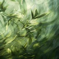 a blurry image of green leaves in the sunlight photo