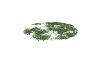 Round surface of Small Plant forest patch covered with flowers, green or dry grass and stone isolated on transparent background. Realistic natural element for design. Bright 3d png