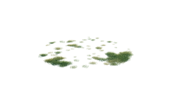 Round surface of Small Plant forest patch covered with flowers, green or dry grass and stone isolated on transparent background. Realistic natural element for design. Bright 3d png