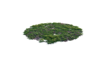 Round surface of Small Plant forest patch covered with flowers, green or dry grass and stone isolated on transparent background. Realistic natural element for design. Bright 3d png