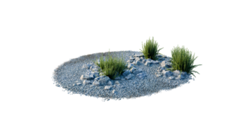 Round surface of Small Plant forest patch covered with flowers, green or dry grass and stone isolated on transparent background. Realistic natural element for design. Bright 3d png