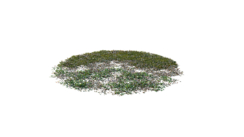 Round surface of Small Plant forest patch covered with flowers, green or dry grass and stone isolated on transparent background. Realistic natural element for design. Bright 3d png