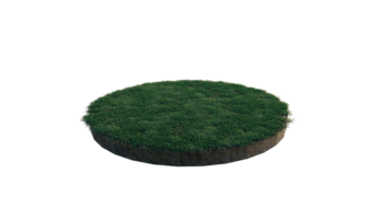 Round surface of Small Plant forest patch covered with flowers, green or dry grass and stone isolated on transparent background. Realistic natural element for design. Bright 3d png