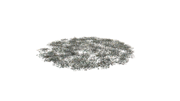 Round surface of Small Plant forest patch covered with flowers, green or dry grass and stone isolated on transparent background. Realistic natural element for design. Bright 3d png