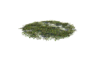 Round surface of Small Plant forest patch covered with flowers, green or dry grass and stone isolated on transparent background. Realistic natural element for design. Bright 3d png