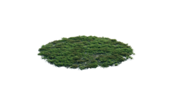 Round surface of Small Plant forest patch covered with flowers, green or dry grass and stone isolated on transparent background. Realistic natural element for design. Bright 3d png