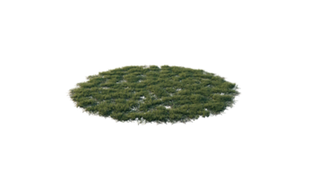 Round surface of Small Plant forest patch covered with flowers, green or dry grass and stone isolated on transparent background. Realistic natural element for design. Bright 3d png