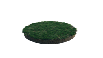 Round surface of Small Plant forest patch covered with flowers, green or dry grass and stone isolated on transparent background. Realistic natural element for design. Bright 3d png