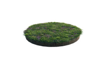 Round surface of Small Plant forest patch covered with flowers, green or dry grass and stone isolated on transparent background. Realistic natural element for design. Bright 3d png