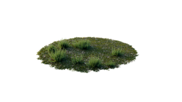 Round surface of Small Plant forest patch covered with flowers, green or dry grass and stone isolated on transparent background. Realistic natural element for design. Bright 3d png