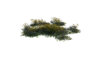 Round surface of Small Plant forest patch covered with flowers, green or dry grass and stone isolated on transparent background. Realistic natural element for design. Bright 3d png