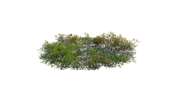 Round surface of Small Plant forest patch covered with flowers, green or dry grass and stone isolated on transparent background. Realistic natural element for design. Bright 3d png