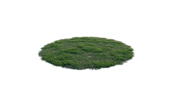 Round surface of Small Plant forest patch covered with flowers, green or dry grass and stone isolated on transparent background. Realistic natural element for design. Bright 3d png