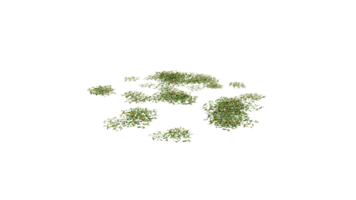 Round surface of Small Plant forest patch covered with flowers, green or dry grass and stone isolated on transparent background. Realistic natural element for design. Bright 3d png