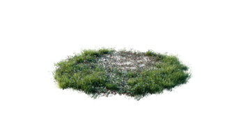 Round surface of Small Plant forest patch covered with flowers, green or dry grass and stone isolated on transparent background. Realistic natural element for design. Bright 3d png