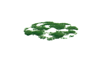 Round surface of Small Plant forest patch covered with flowers, green or dry grass and stone isolated on transparent background. Realistic natural element for design. Bright 3d png