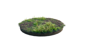 Round surface of Small Plant forest patch covered with flowers, green or dry grass and stone isolated on transparent background. Realistic natural element for design. Bright 3d png