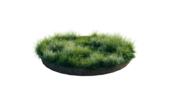 Round surface of Small Plant forest patch covered with flowers, green or dry grass and stone isolated on transparent background. Realistic natural element for design. Bright 3d png