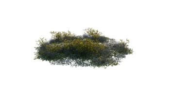 Round surface of Small Plant forest patch covered with flowers, green or dry grass and stone isolated on transparent background. Realistic natural element for design. Bright 3d png