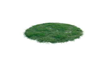 Round surface of Small Plant forest patch covered with flowers, green or dry grass and stone isolated on transparent background. Realistic natural element for design. Bright 3d png
