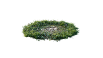 Round surface of Small Plant forest patch covered with flowers, green or dry grass and stone isolated on transparent background. Realistic natural element for design. Bright 3d png