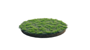 Round surface of Small Plant forest patch covered with flowers, green or dry grass and stone isolated on transparent background. Realistic natural element for design. Bright 3d png