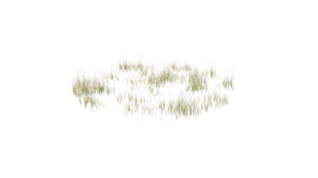 Round surface of Small Plant forest patch covered with flowers, green or dry grass and stone isolated on transparent background. Realistic natural element for design. Bright 3d png