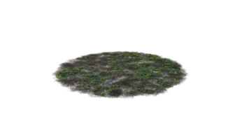 Round surface of Small Plant forest patch covered with flowers, green or dry grass and stone isolated on transparent background. Realistic natural element for design. Bright 3d png