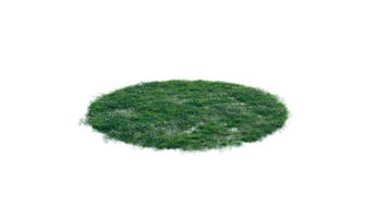Round surface of Small Plant forest patch covered with flowers, green or dry grass and stone isolated on transparent background. Realistic natural element for design. Bright 3d png