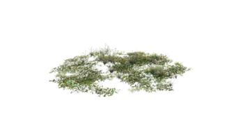 Round surface of Small Plant forest patch covered with flowers, green or dry grass and stone isolated on transparent background. Realistic natural element for design. Bright 3d png