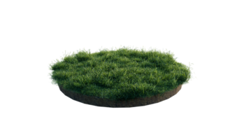 Round surface of Small Plant forest patch covered with flowers, green or dry grass and stone isolated on transparent background. Realistic natural element for design. Bright 3d png