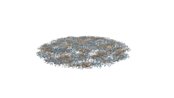 Round surface of Small Plant forest patch covered with flowers, green or dry grass and stone isolated on transparent background. Realistic natural element for design. Bright 3d png