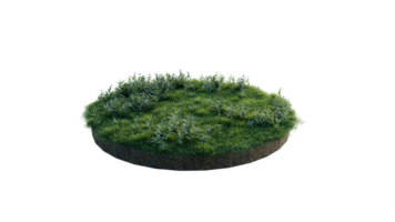 Round surface of Small Plant forest patch covered with flowers, green or dry grass and stone isolated on transparent background. Realistic natural element for design. Bright 3d png