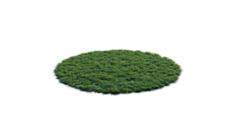 Round surface of Small Plant forest patch covered with flowers, green or dry grass and stone isolated on transparent background. Realistic natural element for design. Bright 3d png