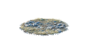 Round surface of Small Plant forest patch covered with flowers, green or dry grass and stone isolated on transparent background. Realistic natural element for design. Bright 3d png