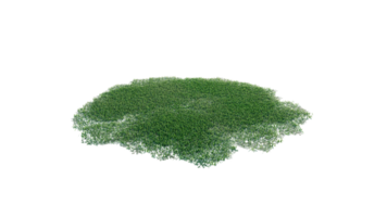 Round surface of Small Plant forest patch covered with flowers, green or dry grass and stone isolated on transparent background. Realistic natural element for design. Bright 3d png