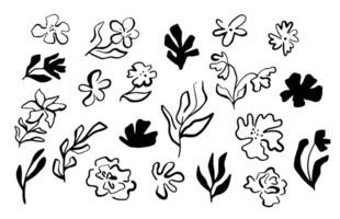 Drawing abstract outline floral botanical elements. Brush paint flowers branch in doodle style. vector