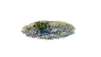 Round surface of Small Plant forest patch covered with flowers, green or dry grass and stone isolated on transparent background. Realistic natural element for design. Bright 3d png