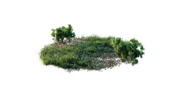 Round surface of Small Plant forest patch covered with flowers, green or dry grass and stone isolated on transparent background. Realistic natural element for design. Bright 3d png