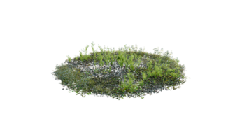 Round surface of Small Plant forest patch covered with flowers, green or dry grass and stone isolated on transparent background. Realistic natural element for design. Bright 3d png
